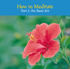 How to Meditate Part 1: The Basic Kit